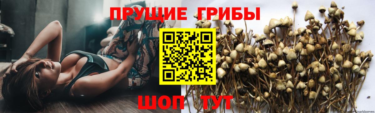 Воронеж  Псилоцибиновые грибы MAGIC MUSHROOMS  Галлюциногенные грибы ЛСД  Вход с VPN 